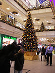 16-15-11-IMGP6784.jpg