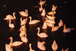17-35-54-DSC_1517.jpg