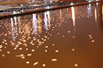 17-36-57-DSC_1525.jpg