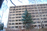 DSC_1650.jpg