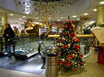 2008-12-04_18-50-08-IMGP0313.jpg