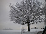 2008-12-13_14-26-53-IMGP0490.jpg