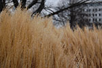 2008-12-14_11-52-55-DSC_1902.jpg