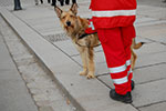 2008-12-14_12-44-03-DSC_1957.jpg