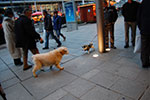 2008-12-14_14-10-46-DSC_2162.jpg