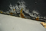 2008-12-17_17-01-56-DSC_2333.jpg