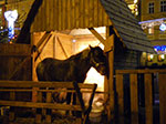 2008-12-20_16-30-53-IMGP0948.jpg