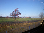 2008-12-22_13-41-34-IMGP1092.jpg