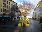 2008-12-22_14-10-48-IMGP1102.jpg