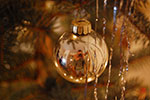 Photos