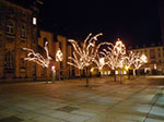2008-12-26_03-31-47-IMGP1169.jpg
