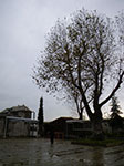 2008-12-30_13-31-42_IMGP1488.jpg