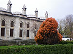 2008-12-30_13-53-02_IMGP1524.jpg