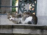 2008-12-30_15-04-33_IMGP1613.jpg