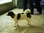 2008-12-30_16-05-28_IMGP1663.jpg