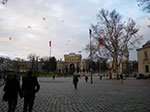 2008-12-30_16-11-16_IMGP1667.jpg