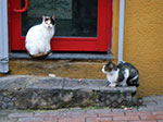 2008-12-30_16-36-05_IMGP1691.jpg