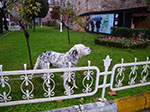 2008-12-31_11-44-52_IMGP1735.jpg