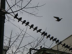 2008-12-31_13-42-11_IMGP1751.jpg