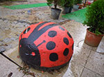 2008-12-31_16-21-29_IMGP1775.jpg