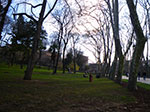 2009-01-01_15-28-23_IMGP1851.jpg