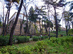2009-01-01_15-29-46_IMGP1853.jpg