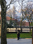 2009-01-01_15-33-31_IMGP1855.jpg