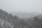 2009-01-02_10-03-11_DSC_3075.jpg