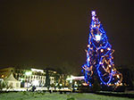 2009-01-02_18-17-01_IMGP1986.jpg
