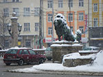 2009-01-04_12-56-07_IMGP2103.jpg