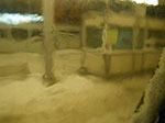 2009-01-04_19-33-57_IMGP2118.jpg