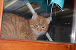 2009-01-05_03-33-45_DSC_3100.jpg