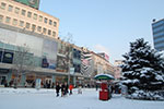 2009-01-05_15-13-50_DSC_3131.jpg