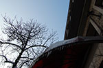 2009-01-05_15-17-04_DSC_3135.jpg