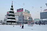 2009-01-05_15-23-21_DSC_3141.jpg
