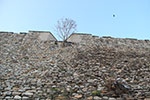 2009-01-05_15-35-18_DSC_3151.jpg
