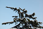 2009-01-05_15-35-39_DSC_3152.jpg