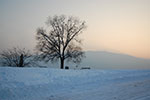 2009-01-05_15-40-59_DSC_3161.jpg