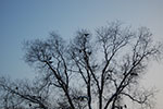 2009-01-05_15-41-25_DSC_3166.jpg