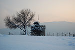 2009-01-05_15-49-26_DSC_3187.jpg