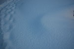2009-01-05_15-53-58_DSC_3202.jpg