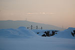 2009-01-05_15-54-37_DSC_3203.jpg