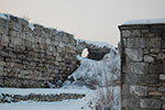 2009-01-05_16-01-50_DSC_3216.jpg