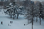 2009-01-05_16-02-59_DSC_3219.jpg