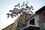 2009-01-05_16-12-46_DSC_3234.jpg