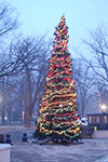2009-01-07_16-30-13_DSC_3304.jpg