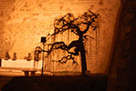 2009-01-07_17-31-24_DSC_3386.jpg
