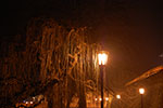 2009-01-07_17-34-25_DSC_3399.jpg