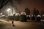 2009-01-07_17-50-58_DSC_3431.jpg