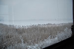 2009-01-09_08-13-35_DSC_3499.jpg